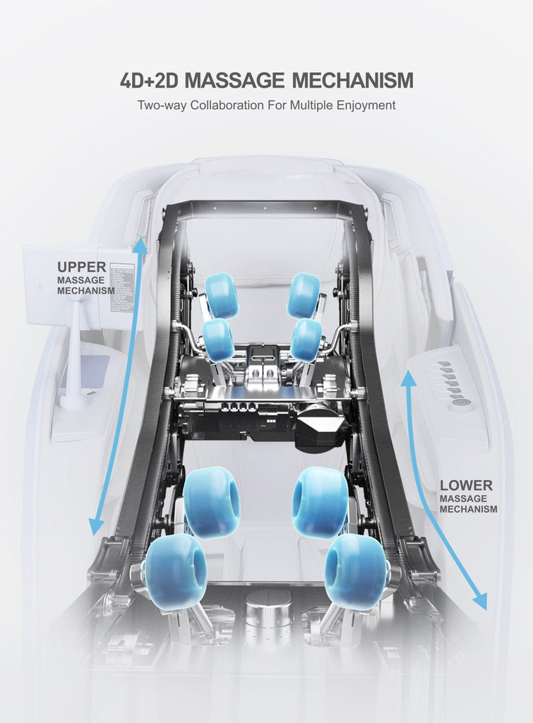 PhysioChair Çift Çekirdekli